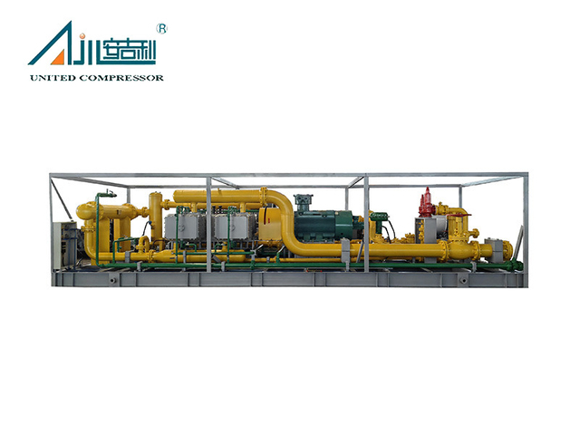 Compresor de gas especial de 250 kW para petroquímica y yacimientos petrolíferos