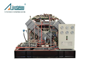 Compresor de pistón de gas natural exento de aceite de 500 Nm³/h de baja presión